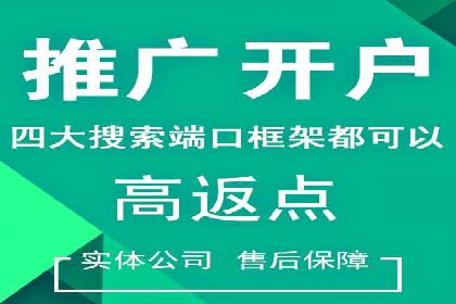 SEM代理服务：助力企业精准营销案例解析
